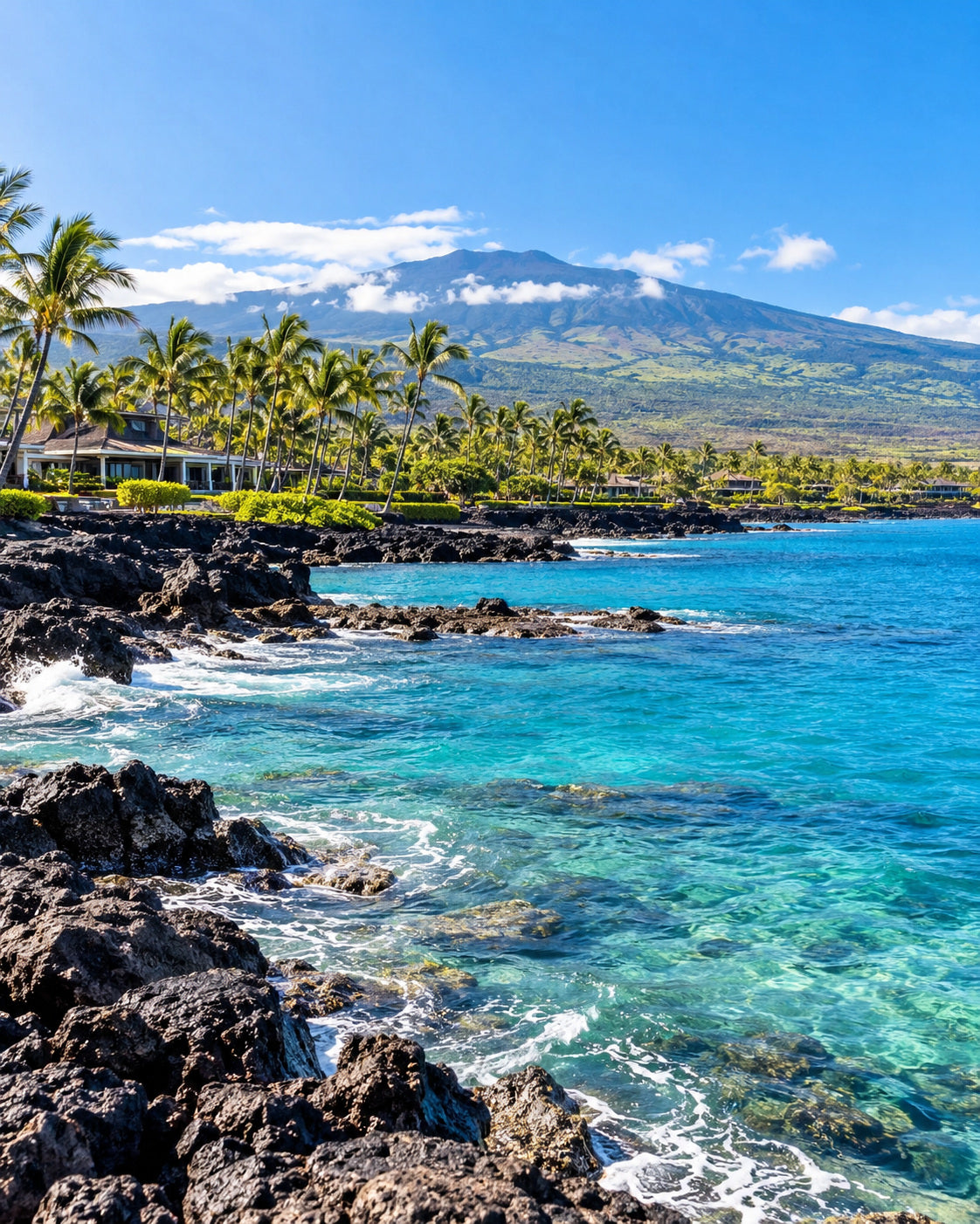 Hawaiʻi (Big Island): nadbrzeże Kailua-Kona z turkusową wodą, ciemną lawą, palmami i zielonymi zboczami Hualālai