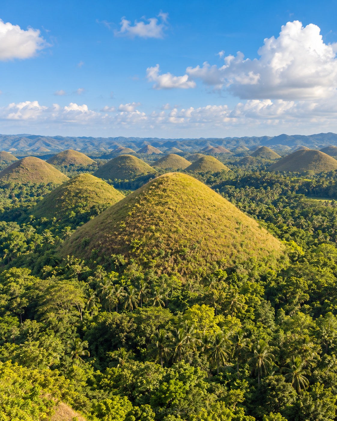 Bohol: chocolate Hills, naturally varied green conical hills, a lush valley and bright blue sky