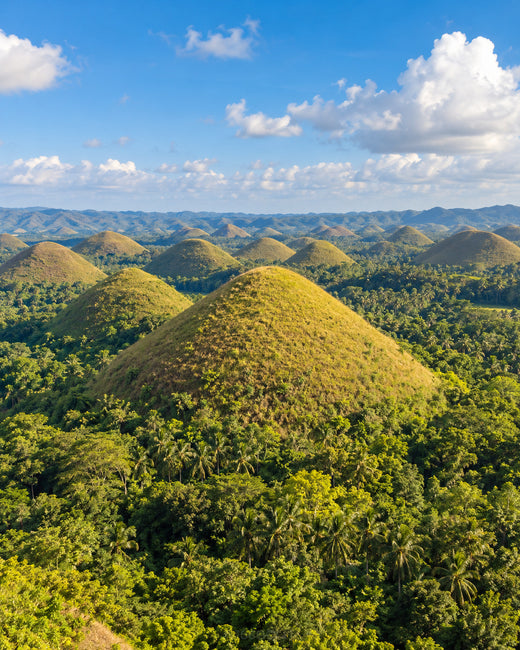Bohol: grüne kegelförmige Chocolate Hills mit üppigem Tal unter blauem Himmel