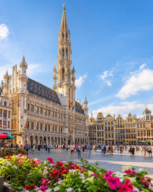 Brüssel: vergoldete Zunfthäuser und Rathaus am Grand-Place im weichen Sonnenschein