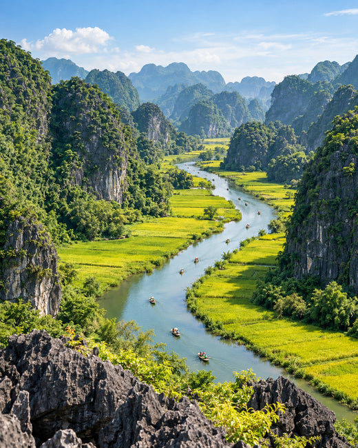 Ninh Binh: Tam-Coc-Tal von Hang Mua aus mit grünen Reisfeldern, Kalksteinbergen und Ruderbooten