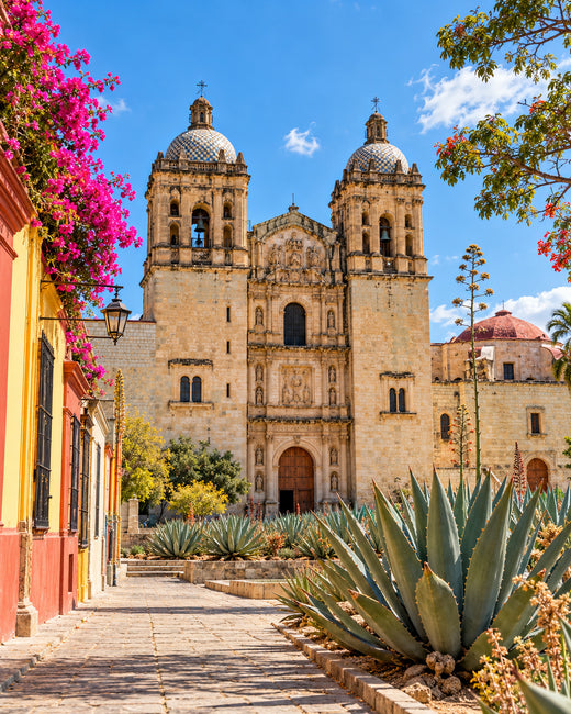 Oaxaca: verzierte warme Steinfassade der Santo-Domingo-Kirche mit Agavengarten und bunten Straßenrändern