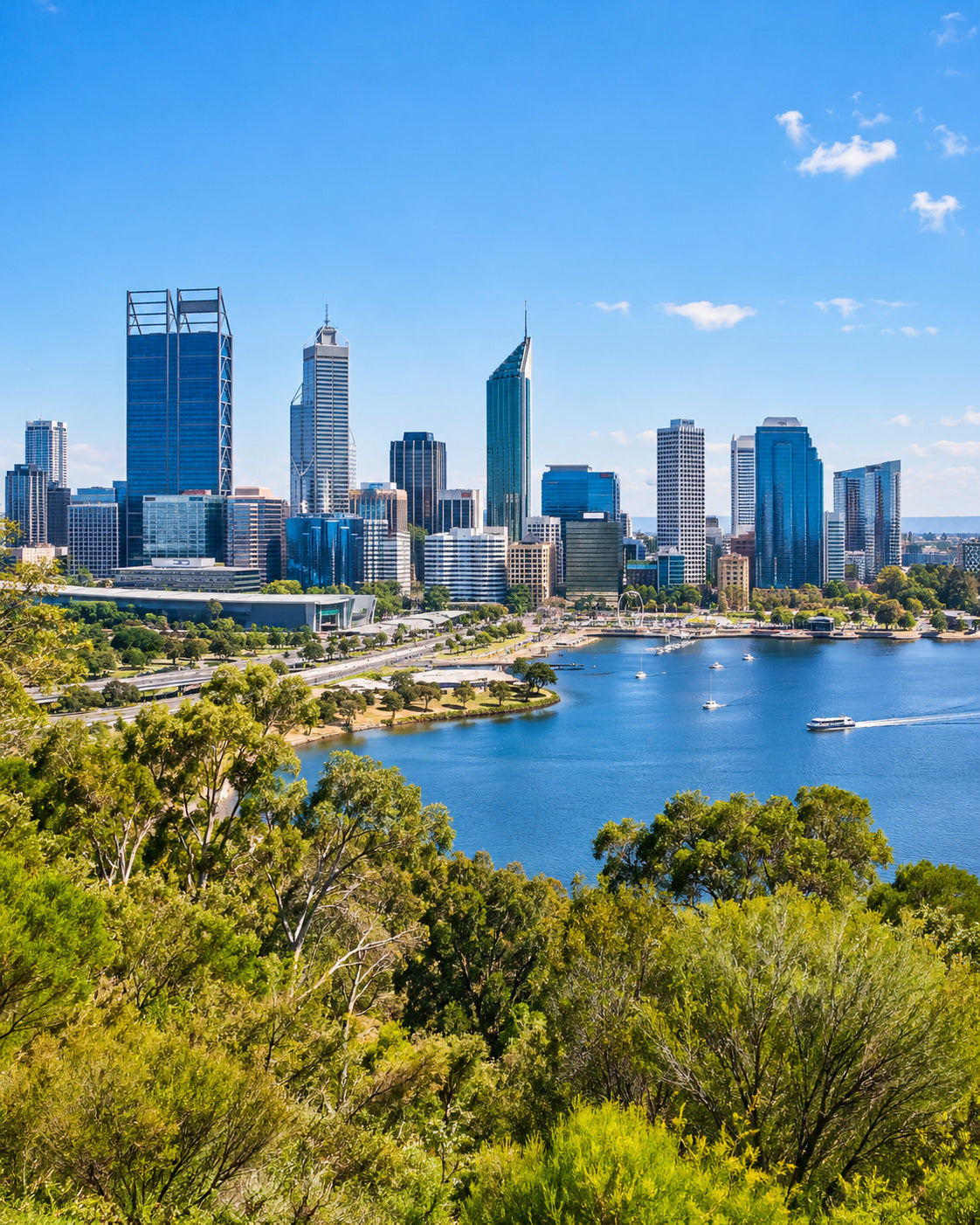 Perth: perth skyline and Swan River seen from Kings Park, green foreground trees and bright clear blue sky