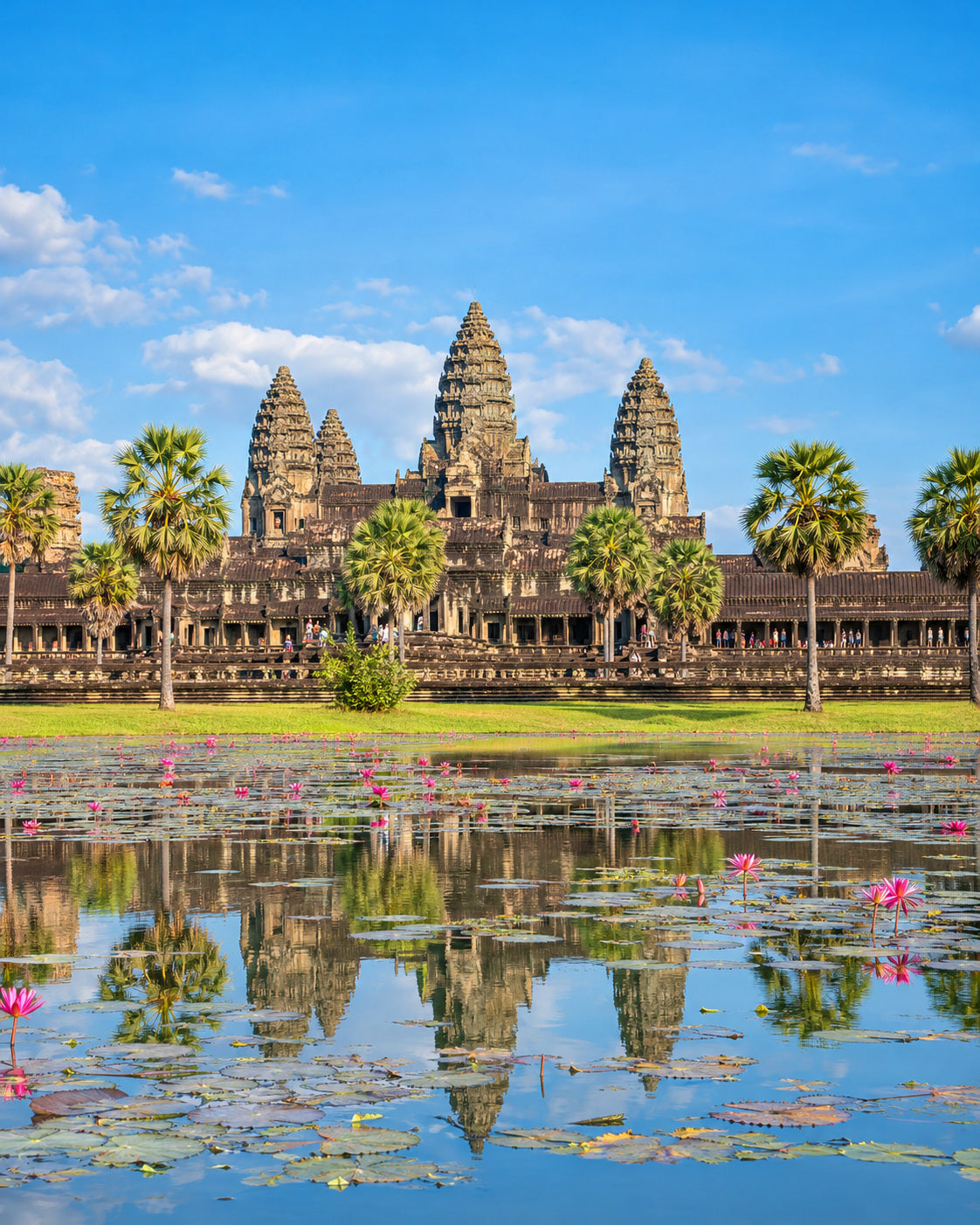 Siem Reap: torres de Angkor Wat reflejadas en un estanque de lotos, palmeras y cielo azul